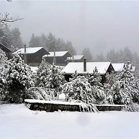 Evia Forest Village فندق *