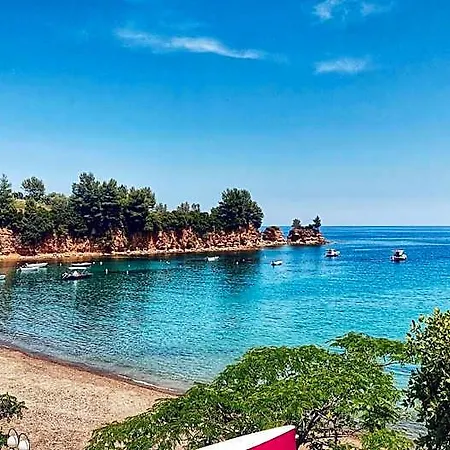 Evia Forest Village فندق *